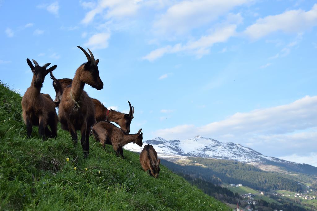 Garni Petter Hotell Kappl  Exteriör bild